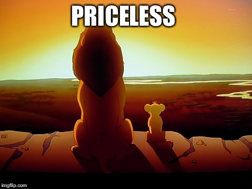 Lion King Meme | PRICELESS | image tagged in memes,lion king | made w/ Imgflip meme maker