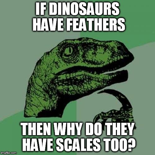 Philosoraptor | IF DINOSAURS HAVE FEATHERS; THEN WHY DO THEY HAVE SCALES TOO? | image tagged in memes,philosoraptor | made w/ Imgflip meme maker