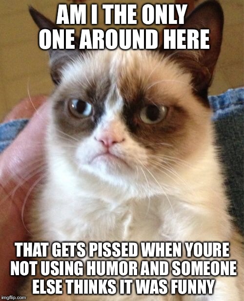 Grumpy Cat Meme | AM I THE ONLY ONE AROUND HERE THAT GETS PISSED WHEN YOURE NOT USING HUMOR AND SOMEONE ELSE THINKS IT WAS FUNNY | image tagged in memes,grumpy cat | made w/ Imgflip meme maker