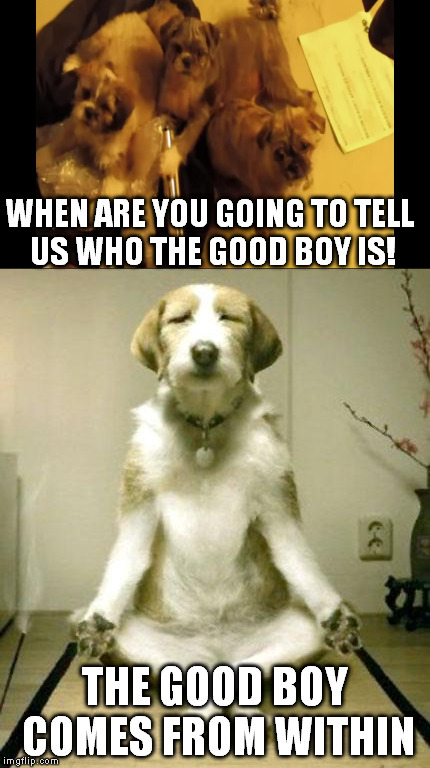 WHEN ARE YOU GOING TO TELL US WHO THE GOOD BOY IS! THE GOOD BOY COMES FROM WITHIN | image tagged in good boy | made w/ Imgflip meme maker