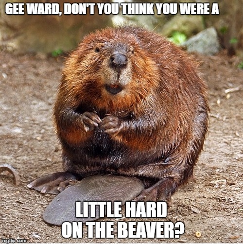 GEE WARD, DON'T YOU THINK YOU WERE A LITTLE HARD ON THE BEAVER? | made w/ Imgflip meme maker
