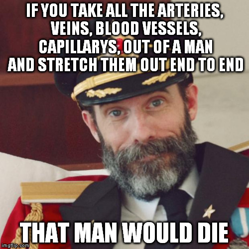 Captain Obvious | IF YOU TAKE ALL THE ARTERIES, VEINS, BLOOD VESSELS, CAPILLARYS, OUT OF A MAN AND STRETCH THEM OUT END TO END; THAT MAN WOULD DIE | image tagged in captain obvious | made w/ Imgflip meme maker