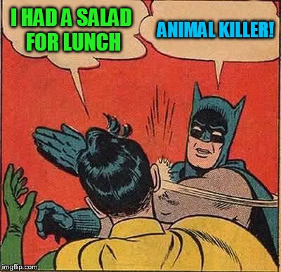 Batman Slapping Robin Meme | I HAD A SALAD FOR LUNCH ANIMAL KILLER! | image tagged in memes,batman slapping robin | made w/ Imgflip meme maker