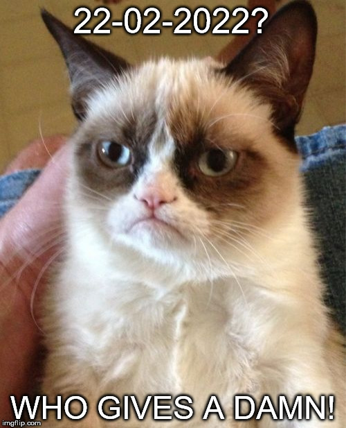 Grumpy Cat | 22-02-2022? WHO GIVES A DAMN! | image tagged in memes,grumpy cat | made w/ Imgflip meme maker