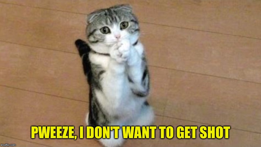 PWEEZE, I DON'T WANT TO GET SHOT | made w/ Imgflip meme maker