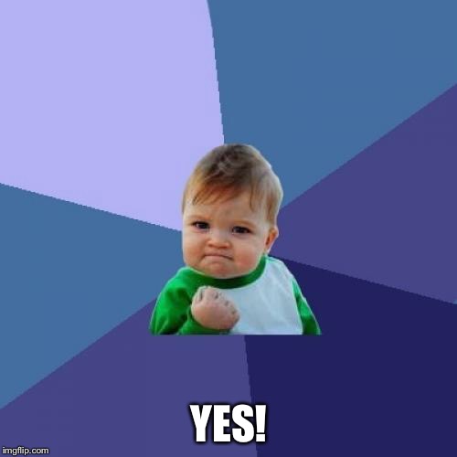 Success Kid Meme | YES! | image tagged in memes,success kid | made w/ Imgflip meme maker
