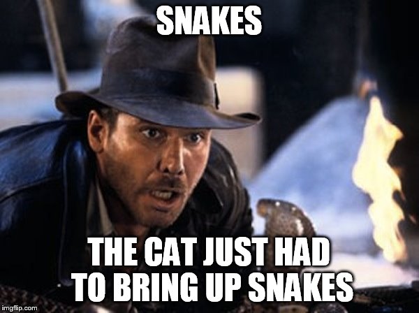 Indiana Jones - It Had To Be Snakes | SNAKES THE CAT JUST HAD TO BRING UP SNAKES | image tagged in indiana jones - it had to be snakes | made w/ Imgflip meme maker