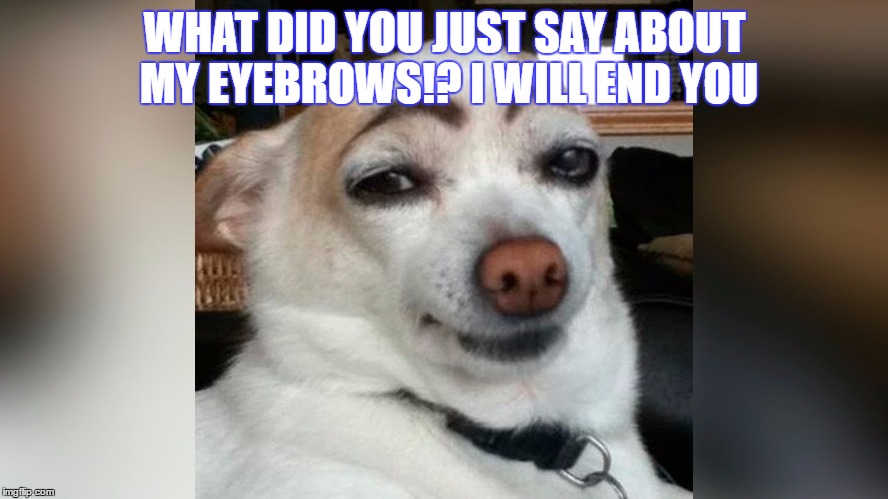 WHAT DID YOU JUST SAY ABOUT MY EYEBROWS!? I WILL END YOU | image tagged in what | made w/ Imgflip meme maker