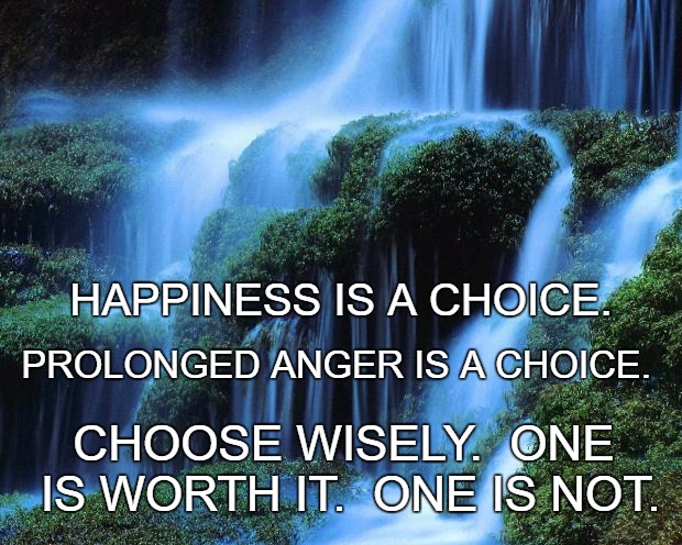 Happiness | HAPPINESS IS A CHOICE. PROLONGED ANGER IS A CHOICE. CHOOSE WISELY.  ONE IS WORTH IT.  ONE IS NOT. | image tagged in waterfall | made w/ Imgflip meme maker