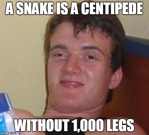 More stupid legs jokes | A SNAKE IS A CENTIPEDE; WITHOUT 1,000 LEGS | image tagged in memes,10 guy | made w/ Imgflip meme maker