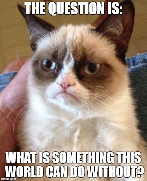 Grumpy Cat Meme | THE QUESTION IS: WHAT IS SOMETHING THIS WORLD CAN DO WITHOUT? | image tagged in memes,grumpy cat | made w/ Imgflip meme maker