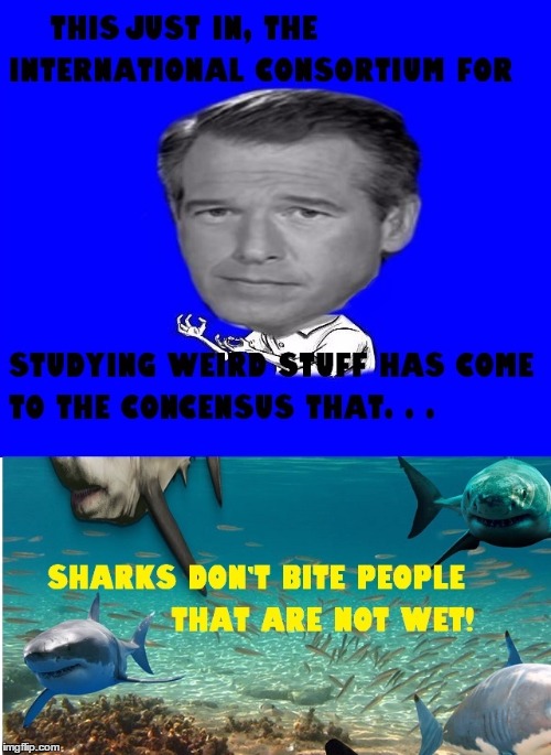 Y U Listen Brian Williams | 4 | image tagged in memes,sharks,brian williams,funny memes,dark humor | made w/ Imgflip meme maker