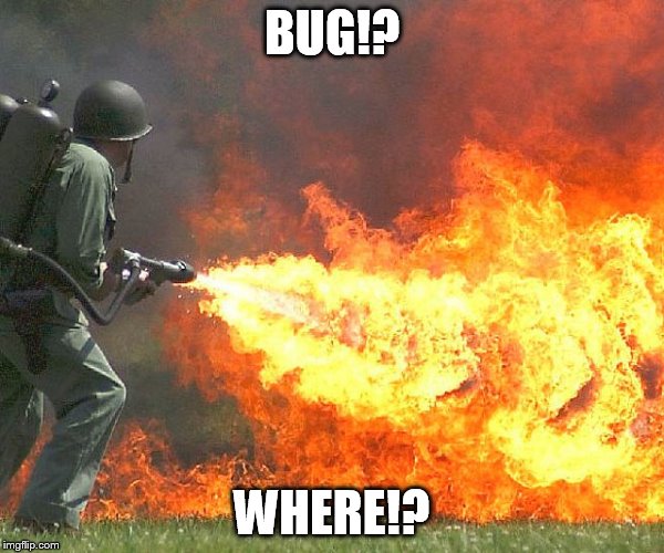 Flamethrower | BUG!? WHERE!? | image tagged in flamethrower | made w/ Imgflip meme maker