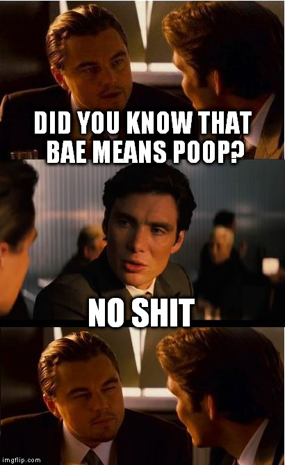 My toilet is clogged with Bae. | DID YOU KNOW THAT BAE MEANS POOP? NO SHIT | image tagged in memes,inception | made w/ Imgflip meme maker