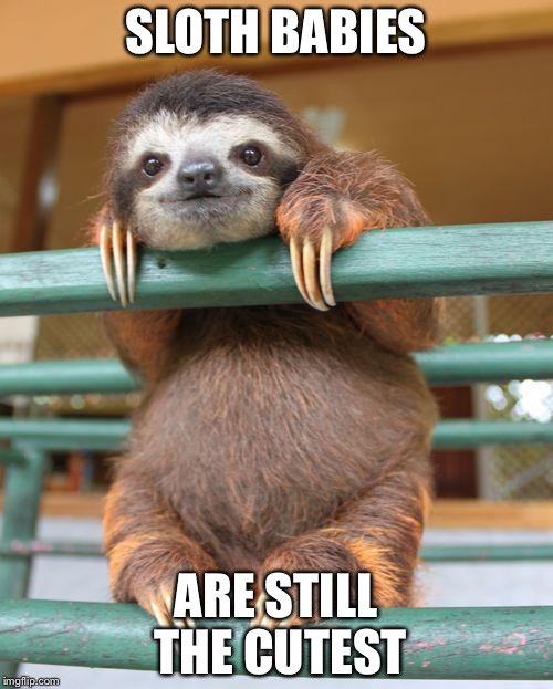 Birthday Sloth | SLOTH BABIES; ARE STILL THE CUTEST | image tagged in birthday sloth | made w/ Imgflip meme maker