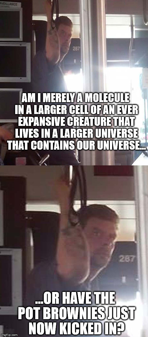 Deep Thoughts Bus Dude | AM I MERELY A MOLECULE IN A LARGER CELL OF AN EVER EXPANSIVE CREATURE THAT LIVES IN A LARGER UNIVERSE THAT CONTAINS OUR UNIVERSE... ...OR HAVE THE POT BROWNIES JUST NOW KICKED IN? | image tagged in deep thoughts,bus dude,weed | made w/ Imgflip meme maker