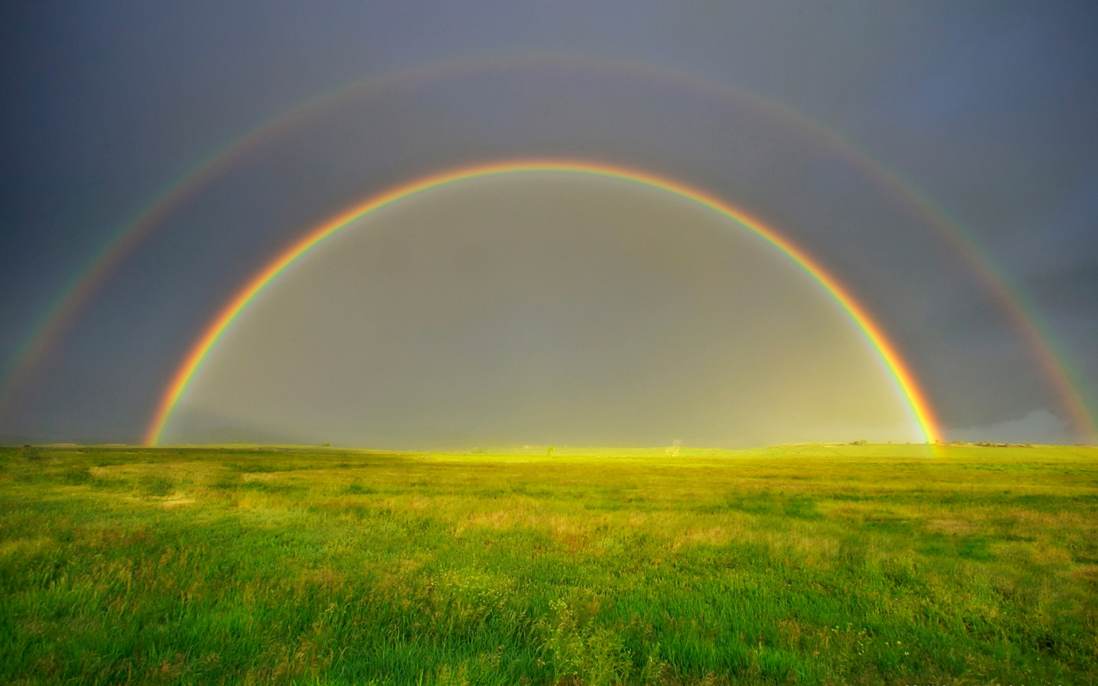 Double Rainbow Blank Meme Template