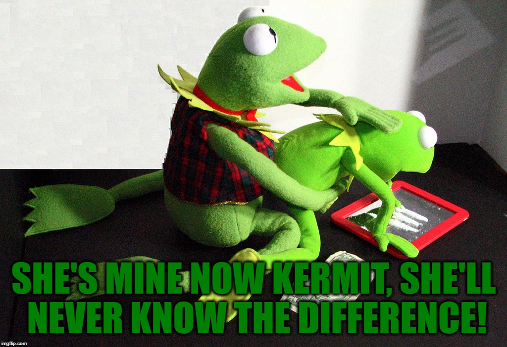 SHE'S MINE NOW KERMIT, SHE'LL NEVER KNOW THE DIFFERENCE! | made w/ Imgflip meme maker