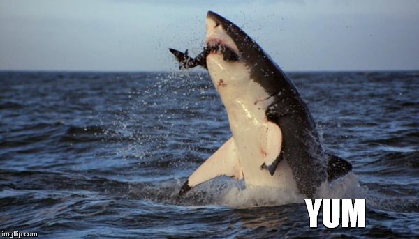 YUM | made w/ Imgflip meme maker