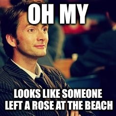 OH MY; LOOKS LIKE SOMEONE LEFT A ROSE AT THE BEACH | image tagged in doctor who | made w/ Imgflip meme maker