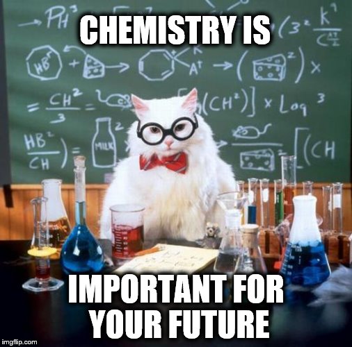 Chemistry Cat Meme | CHEMISTRY IS; IMPORTANT FOR YOUR FUTURE | image tagged in memes,chemistry cat | made w/ Imgflip meme maker
