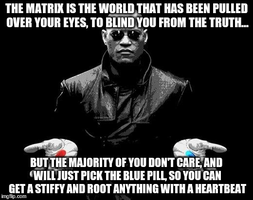 Matrix Morpheus Offer | THE MATRIX IS THE WORLD THAT HAS BEEN PULLED OVER YOUR EYES, TO BLIND YOU FROM THE TRUTH... BUT THE MAJORITY OF YOU DON'T CARE, AND WILL JUST PICK THE BLUE PILL, SO YOU CAN GET A STIFFY AND ROOT ANYTHING WITH A HEARTBEAT | image tagged in matrix morpheus offer | made w/ Imgflip meme maker