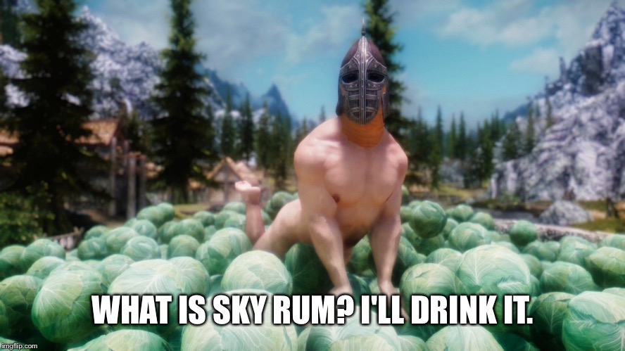 WHAT IS SKY RUM? I'LL DRINK IT. | made w/ Imgflip meme maker