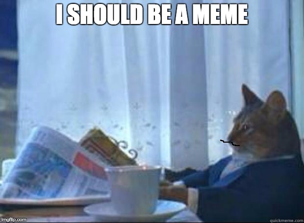 How a meme was born |  I SHOULD BE A MEME | image tagged in i should buy cat | made w/ Imgflip meme maker