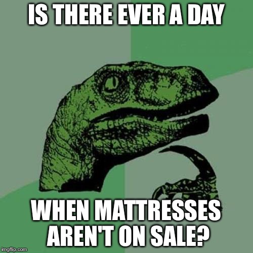 Philosoraptor | IS THERE EVER A DAY; WHEN MATTRESSES AREN'T ON SALE? | image tagged in memes,philosoraptor | made w/ Imgflip meme maker