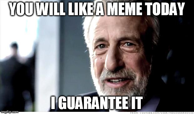 I Guarantee It Meme | YOU WILL LIKE A MEME TODAY; I GUARANTEE IT | image tagged in memes,i guarantee it | made w/ Imgflip meme maker