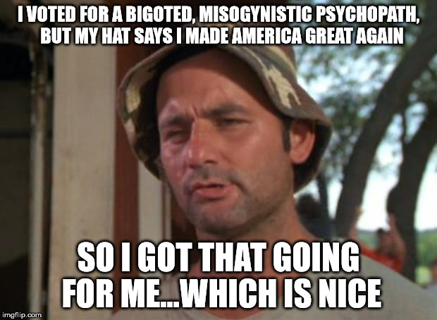 So I Got That Goin For Me Which Is Nice Meme | I VOTED FOR A BIGOTED, MISOGYNISTIC PSYCHOPATH,  BUT MY HAT SAYS I MADE AMERICA GREAT AGAIN; SO I GOT THAT GOING FOR ME...WHICH IS NICE | image tagged in memes,so i got that goin for me which is nice | made w/ Imgflip meme maker