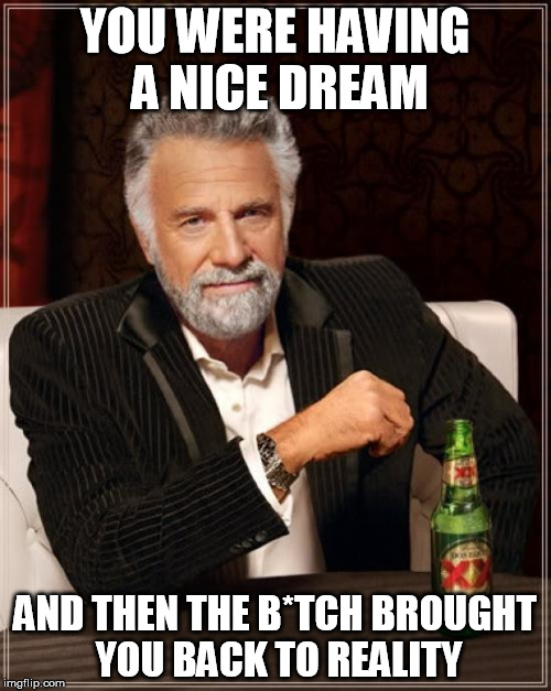 The Most Interesting Man In The World Meme | YOU WERE HAVING A NICE DREAM AND THEN THE B*TCH BROUGHT YOU BACK TO REALITY | image tagged in memes,the most interesting man in the world | made w/ Imgflip meme maker