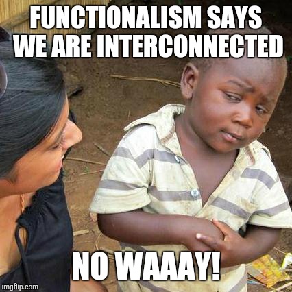Third World Skeptical Kid Meme | FUNCTIONALISM SAYS WE ARE INTERCONNECTED; NO WAAAY! | image tagged in memes,third world skeptical kid | made w/ Imgflip meme maker