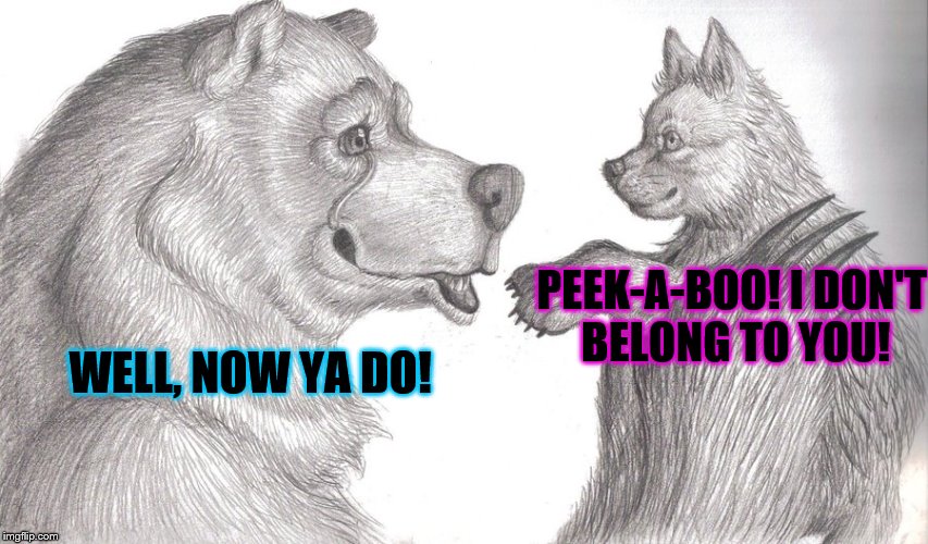 PEEK-A-BOO! I DON'T BELONG TO YOU! WELL, NOW YA DO! | image tagged in nope | made w/ Imgflip meme maker