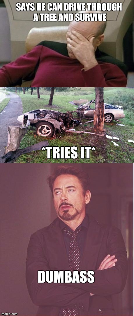 Driving through a Tree | SAYS HE CAN DRIVE THROUGH A TREE AND SURVIVE; *TRIES IT*; DUMBASS | image tagged in dumbass,car,tree | made w/ Imgflip meme maker