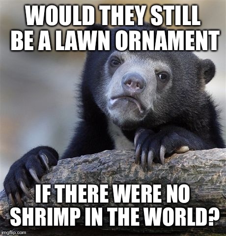 Confession Bear Meme | WOULD THEY STILL BE A LAWN ORNAMENT IF THERE WERE NO SHRIMP IN THE WORLD? | image tagged in memes,confession bear | made w/ Imgflip meme maker