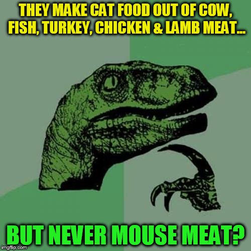 There is money to be made here! | THEY MAKE CAT FOOD OUT OF COW, FISH, TURKEY, CHICKEN & LAMB MEAT... BUT NEVER MOUSE MEAT? | image tagged in memes,philosoraptor,funny memes,cat food,mouse,money maker | made w/ Imgflip meme maker