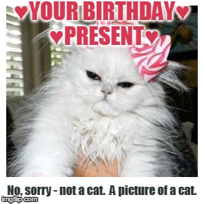 ♥YOUR BIRTHDAY♥ ♥PRESENT♥; No, sorry - not a cat.  A picture of a cat. | image tagged in birthday,happy birthday,birthday present,cat birthday,funny birthday,cat funny birthday | made w/ Imgflip meme maker