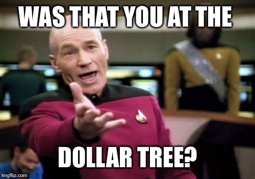 Picard Wtf Meme | WAS THAT YOU AT THE DOLLAR TREE? | image tagged in memes,picard wtf | made w/ Imgflip meme maker