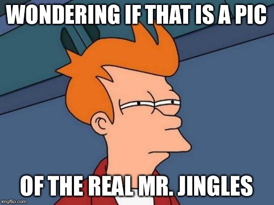 Futurama Fry Meme | WONDERING IF THAT IS A PIC OF THE REAL MR. JINGLES | image tagged in memes,futurama fry | made w/ Imgflip meme maker