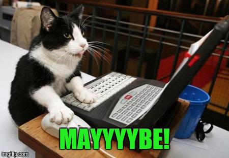 Fact Cat | MAYYYYBE! | image tagged in fact cat | made w/ Imgflip meme maker