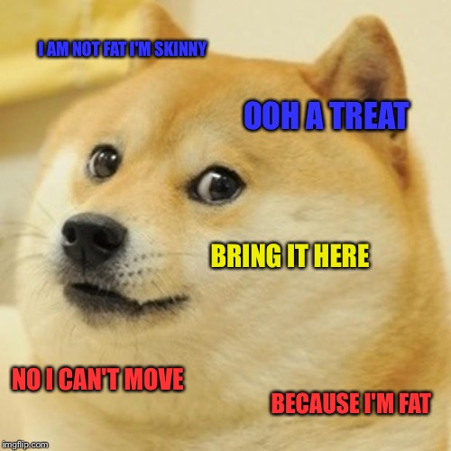 Doge | I AM NOT FAT I'M SKINNY; OOH A TREAT; BRING IT HERE; NO I CAN'T MOVE; BECAUSE I'M FAT | image tagged in memes,doge | made w/ Imgflip meme maker