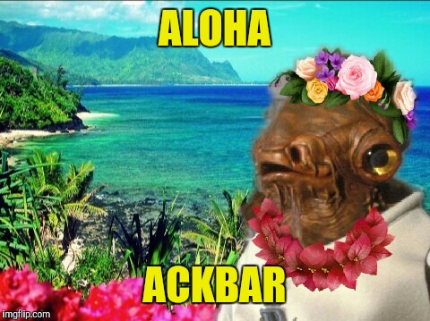 In Hawaii | ALOHA ACKBAR | image tagged in in hawaii | made w/ Imgflip meme maker