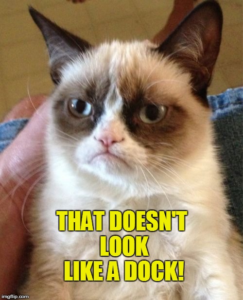 Grumpy Cat Meme | THAT DOESN'T LOOK LIKE A DOCK! | image tagged in memes,grumpy cat | made w/ Imgflip meme maker