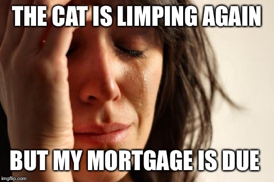 I swear this cat climbs my rose bushes... | THE CAT IS LIMPING AGAIN; BUT MY MORTGAGE IS DUE | image tagged in memes,first world problems | made w/ Imgflip meme maker