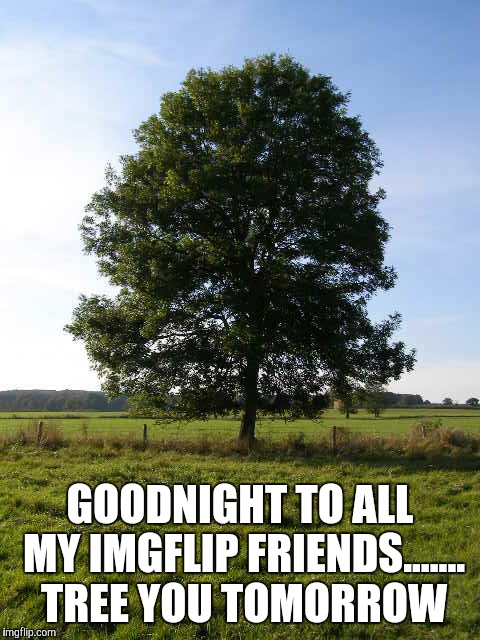 Goodnight my friends  | GOODNIGHT TO ALL MY IMGFLIP FRIENDS....... TREE YOU TOMORROW | image tagged in memes,puns,play on words | made w/ Imgflip meme maker