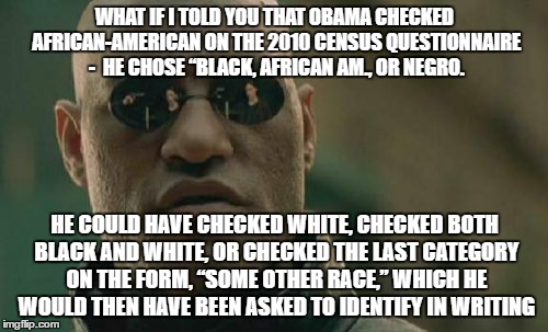 Matrix Morpheus Meme | WHAT IF I TOLD YOU THAT OBAMA CHECKED AFRICAN-AMERICAN ON THE 2010 CENSUS QUESTIONNAIRE -  HE CHOSE “BLACK, AFRICAN AM., OR NEGRO. HE COULD  | image tagged in memes,matrix morpheus | made w/ Imgflip meme maker