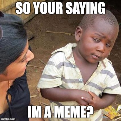 Third World Skeptical Kid Meme | SO YOUR SAYING; IM A MEME? | image tagged in memes,third world skeptical kid | made w/ Imgflip meme maker