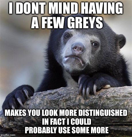 Confession Bear Meme | I DONT MIND HAVING A FEW GREYS MAKES YOU LOOK MORE DISTINGUISHED IN FACT I COULD PROBABLY USE SOME MORE | image tagged in memes,confession bear | made w/ Imgflip meme maker
