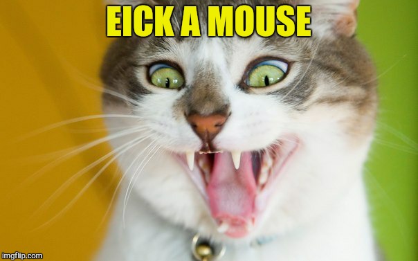 EICK A MOUSE | made w/ Imgflip meme maker